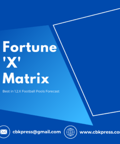 Fortune 'X' Matrix - Blue