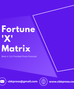 Fortune 'X' Matrix - Purple