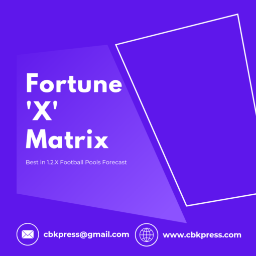 Fortune 'X' Matrix - Purple