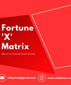 Fortune 'X' Matrix - Red