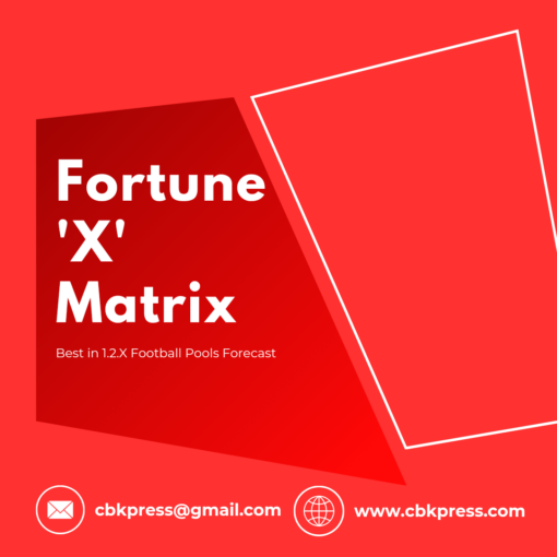 Fortune 'X' Matrix - Red